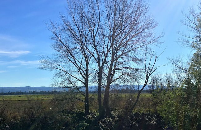 Abington Farm - Photo 42