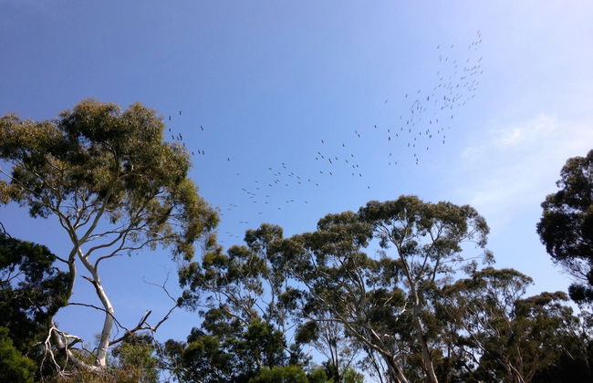 Abington Farm - Photo 41