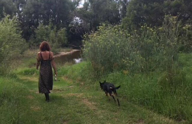 Abington Farm - Photo 32