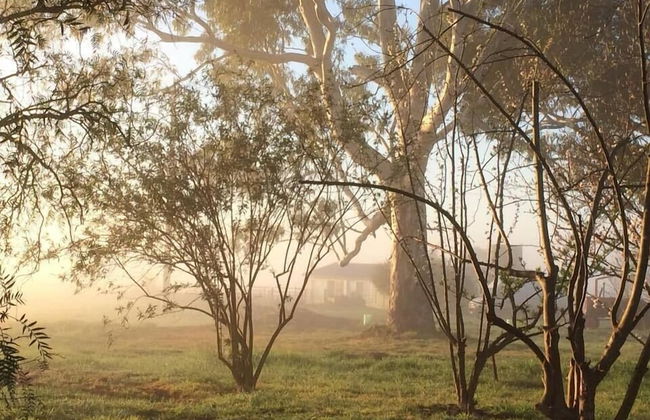 Abington Farm - Photo 43