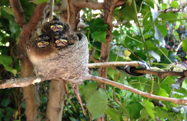 Abington Farm - Photo 31