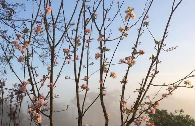 Abington Farm - Photo 45