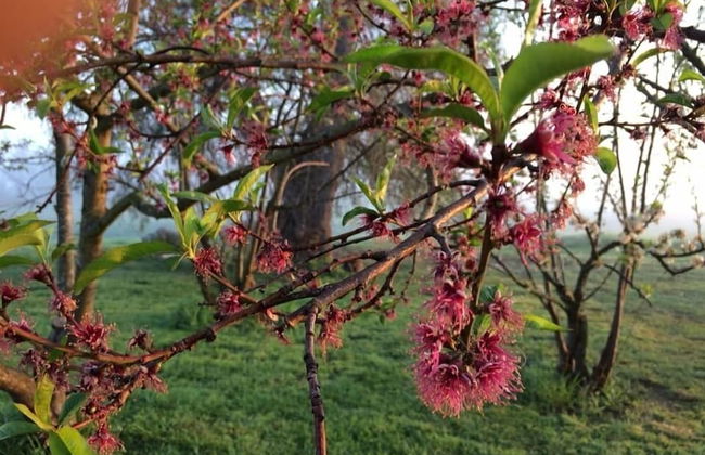 Abington Farm - Photo 49