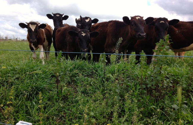 Abington Farm - Photo 34