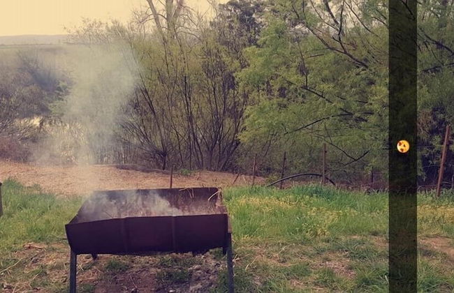 Abington Farm - Photo 47