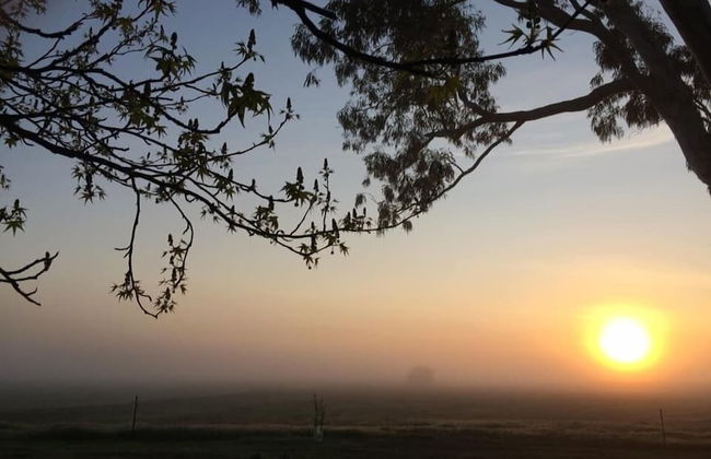 Abington Farm - Photo 46