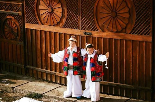 Photo 37 - Pensiuna Maramures-Hoteni