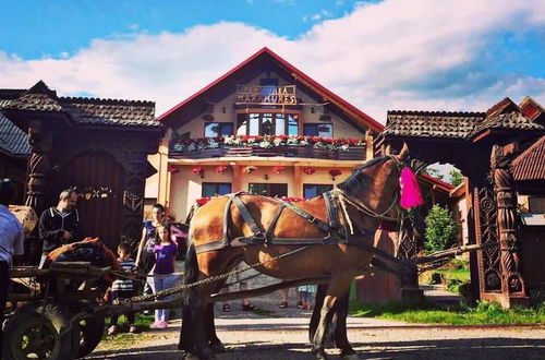 Photo 33 - Pensiuna Maramures-Hoteni