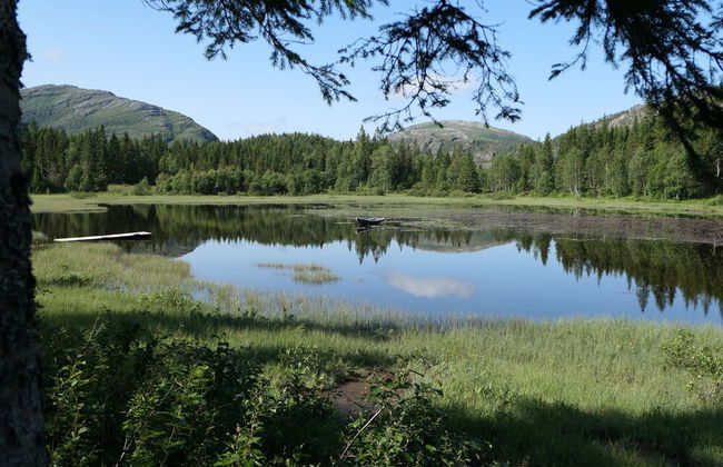 Velfjord camping & hytter - Photo 62
