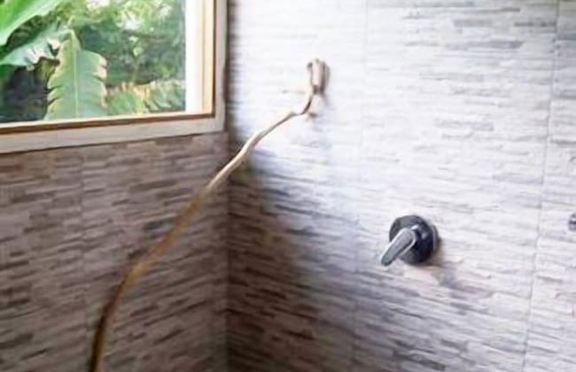 Castaway Lodge - Foto 22