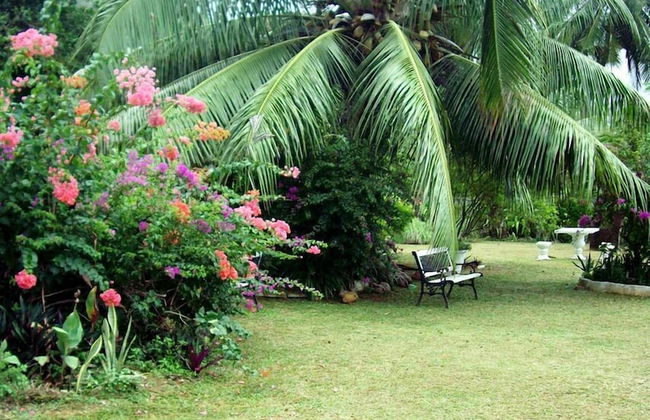 Castaway Lodge - Foto 28