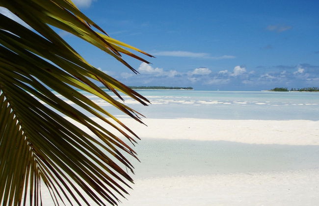 Castaway Lodge - Foto 29