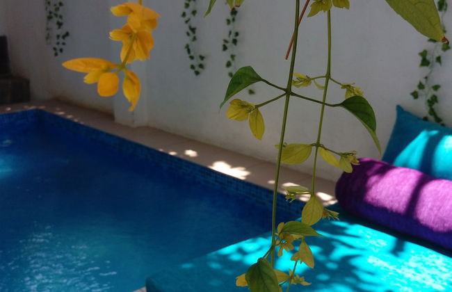 Villa Seven Panadura - Foto 1