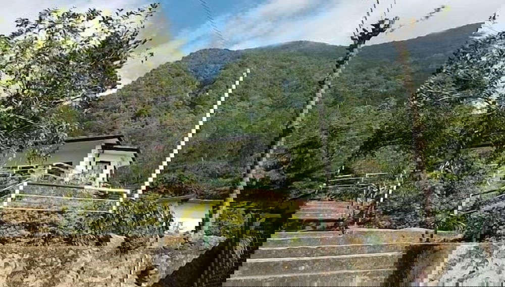 Image principale
