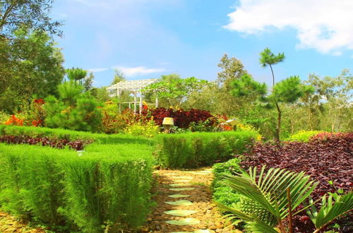 Photo 4 - Bukit Lintang Sewu Domping