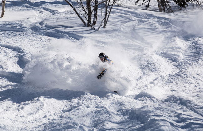 The Orchards Niseko - Photo 61