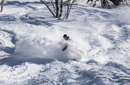 Photo 61 - The Orchards Niseko