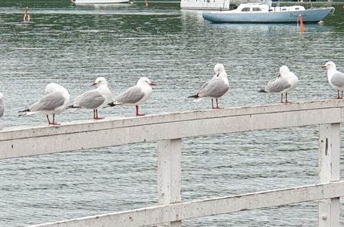 Photo 2 - Seaport Village