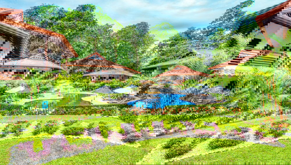 Image principale