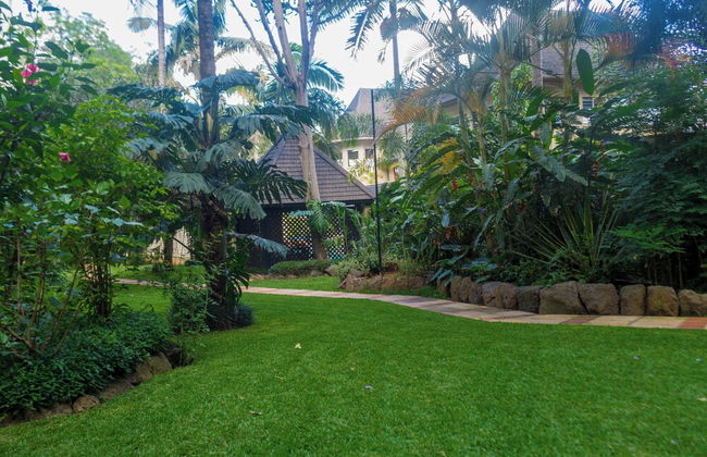 Mimosa Court Apartments - Foto 61