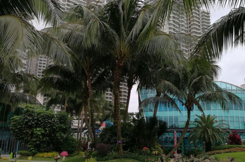 Photo 16 - Danga Bay Country Garden