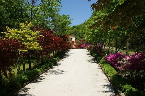 Photo 65 - Pocheon Forest Pension