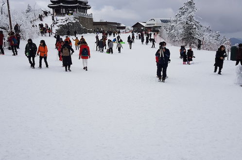 Photo 36 - Muju Naos Pension