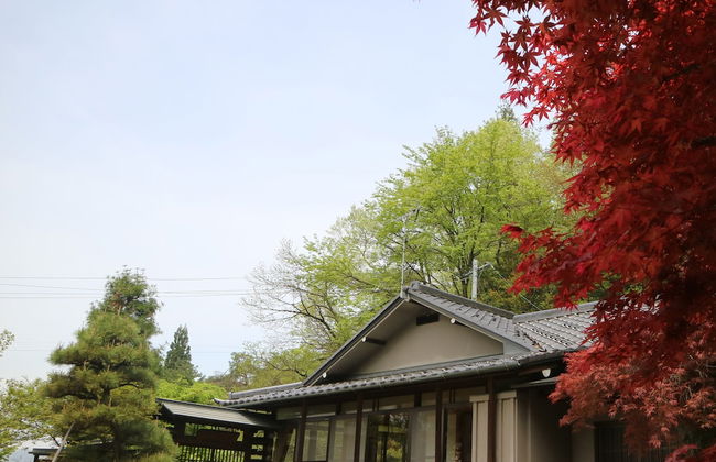 Iori Stay - Foto 21