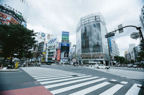 Photo 36 - And Koenji