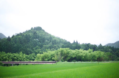 Foto 73 - Miyama Futon & Breakfast Thatched Cottages