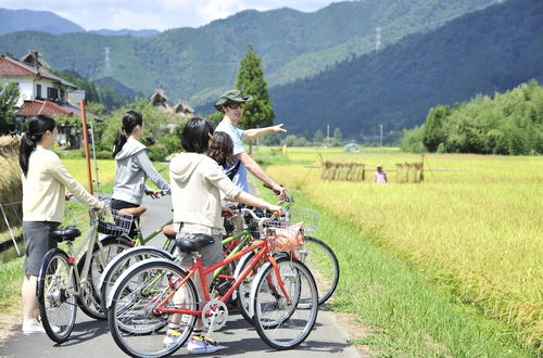 Photo 47 - Miyama Futon & Breakfast Thatched Cottages