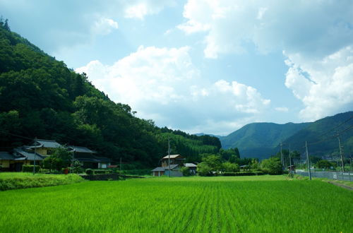 Foto 72 - Miyama Futon & Breakfast Thatched Cottages