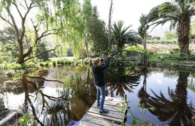Waterland - Foto 77