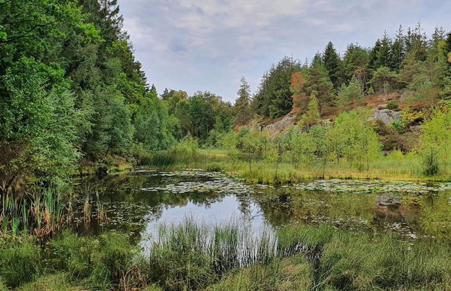 Seaside Idyll in Svaneke - By Traum Ferienwohnungen - Foto 21