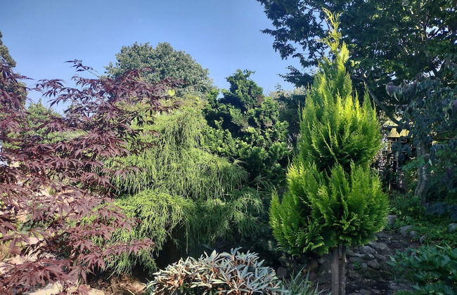 Seaside Idyll in Svaneke - By Traum Ferienwohnungen - Foto 28