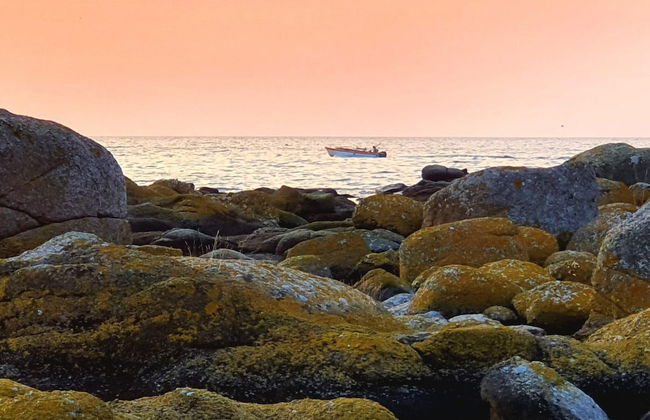 Seaside Idyll in Svaneke - By Traum Ferienwohnungen - Foto 4