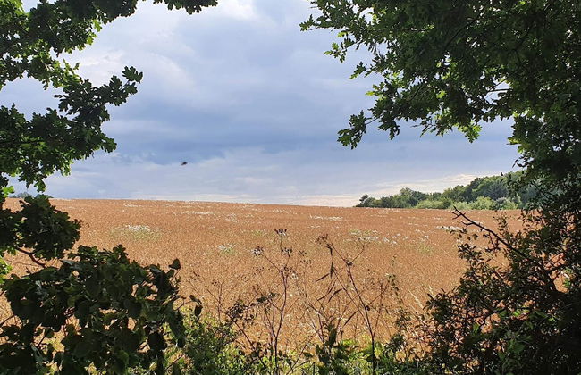 Seaside Idyll in Svaneke - By Traum Ferienwohnungen - Foto 6