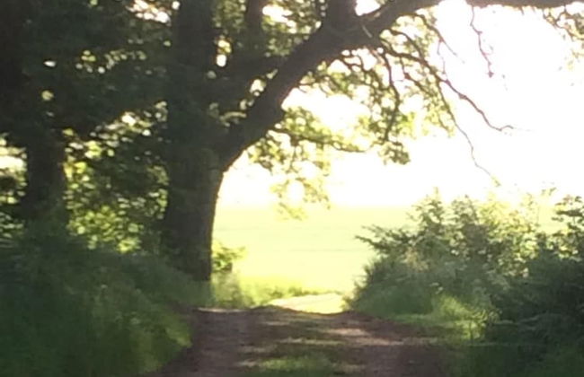 Swedish Idyll - Foto 29