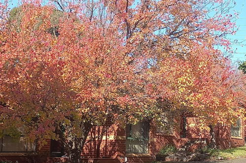 Photo 34 - Mt Waverley Townhouses