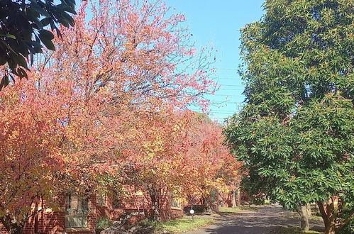 Photo 27 - Mt Waverley Townhouses