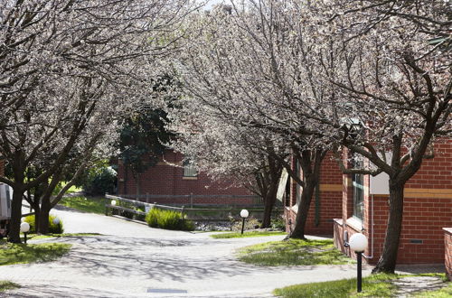 Photo 24 - Mt Waverley Townhouses