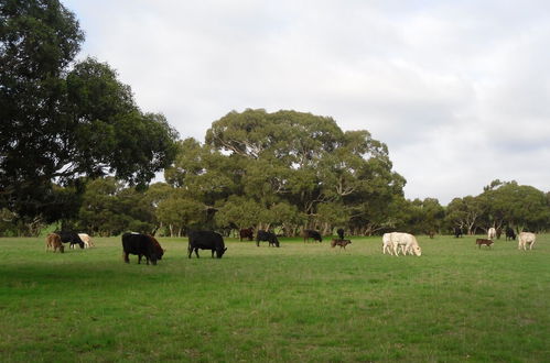 Photo 22 - Wenton Farm Holiday Cottages