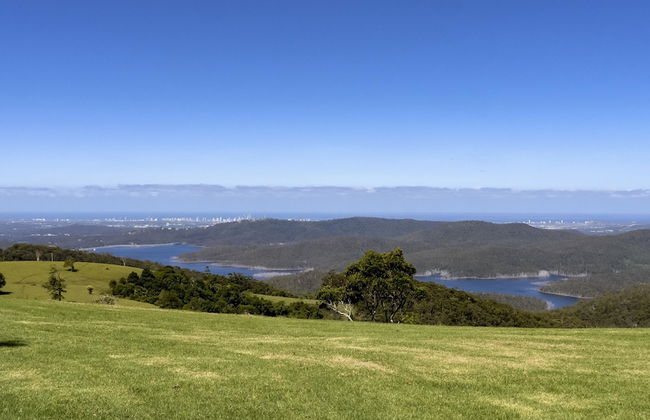 Rosewood Estate - Photo 37