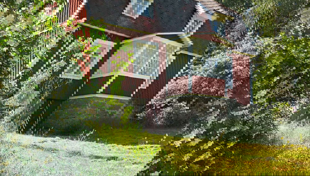 Primary image