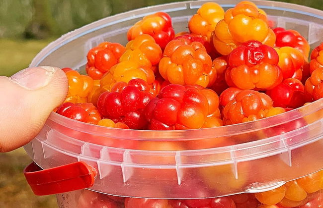 Holiday Home in Lebesby - Foto 17