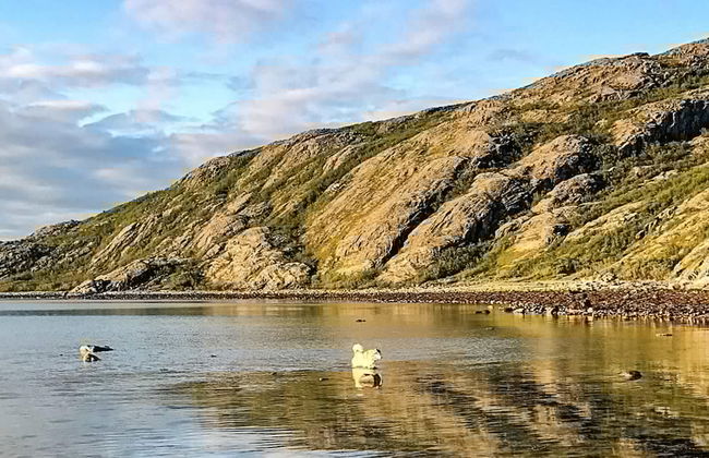 Holiday Home in Lebesby - Foto 16