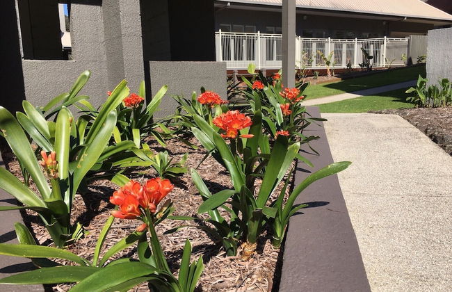 Cumberland Lorne Resort - Foto 44