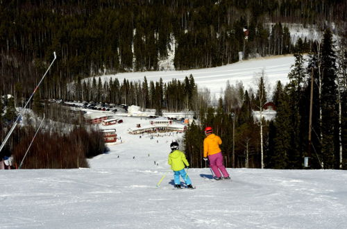 Foto 42 - Hassela Ski Resort Cabins