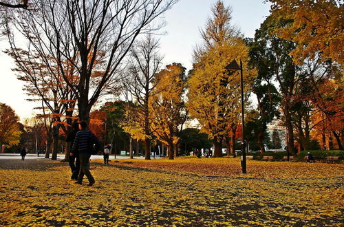 Photo 40 - ZAITO Tokyo Waseda Economy Inn