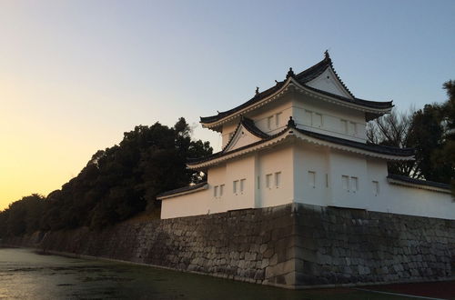 Photo 25 - Tsumugi Kiyomizu Gojo